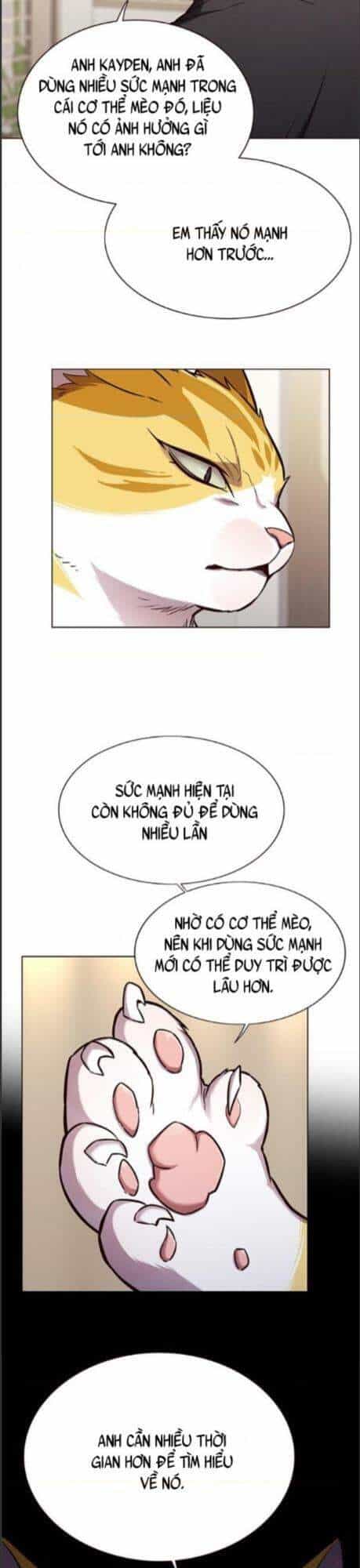 Hoá Thân Thành Mèo - Chương 164 - ảnh 11