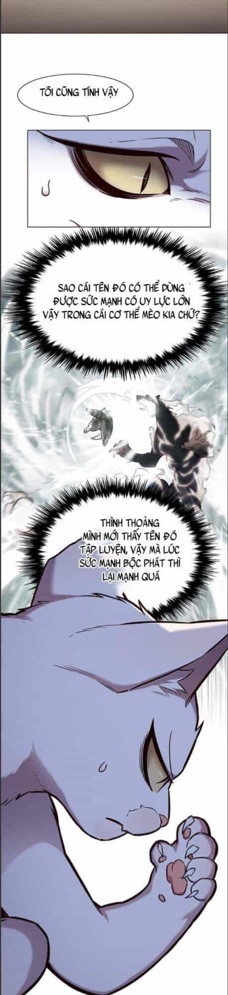 Hoá Thân Thành Mèo - Chương 164 - ảnh 14