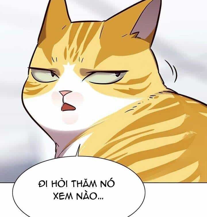 Hoá Thân Thành Mèo - Chương 165 - ảnh 29