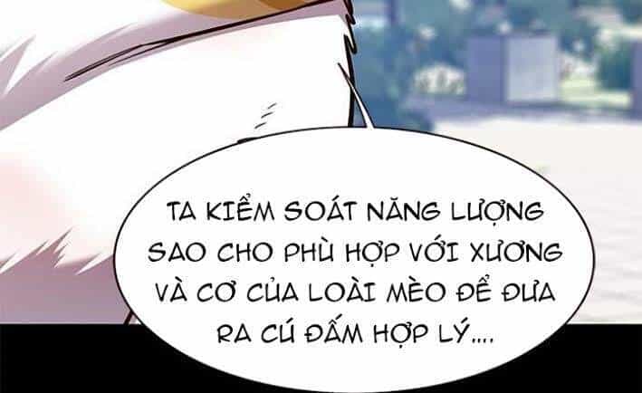 Hoá Thân Thành Mèo - Chương 166 - ảnh 27