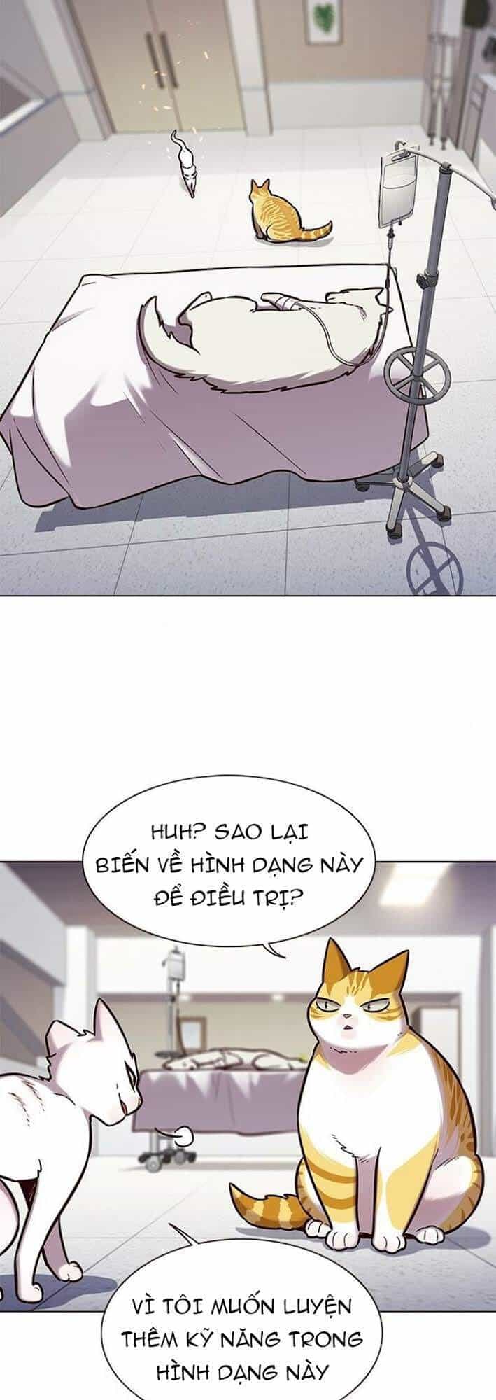 Hoá Thân Thành Mèo - Chương 166 - ảnh 9