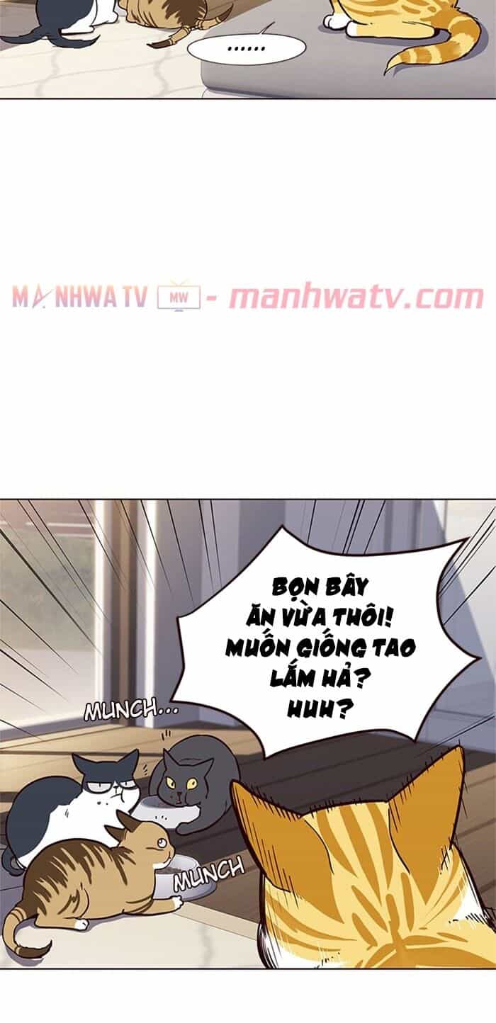 Hoá Thân Thành Mèo - Chương 17 - ảnh 41