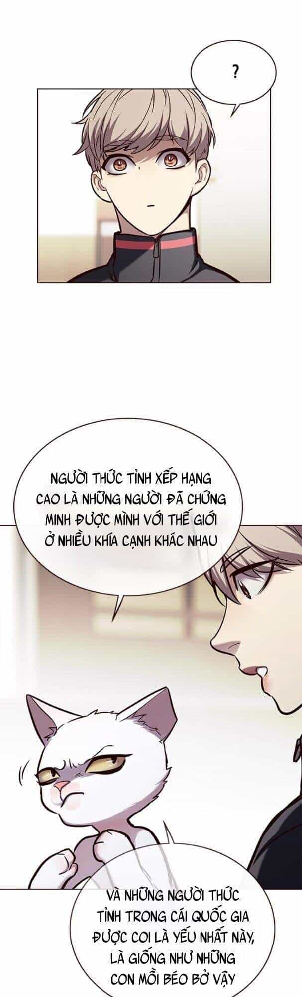 Hoá Thân Thành Mèo - Chương 170 - ảnh 51