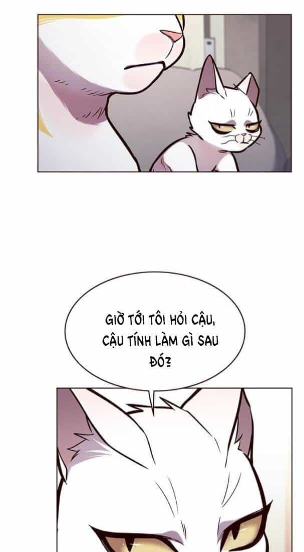 Hoá Thân Thành Mèo - Chương 173 - ảnh 29