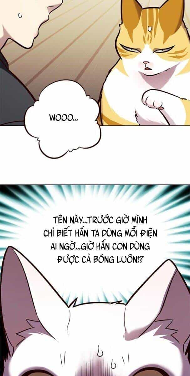 Hoá Thân Thành Mèo - Chương 174 - ảnh 52