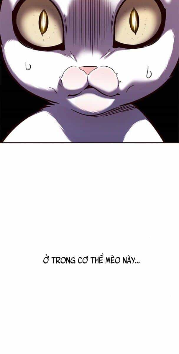 Hoá Thân Thành Mèo - Chương 174 - ảnh 53