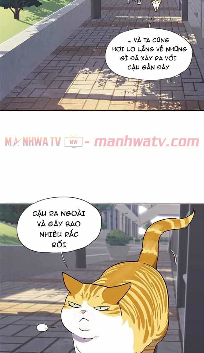 Hoá Thân Thành Mèo - Chương 18 - ảnh 54