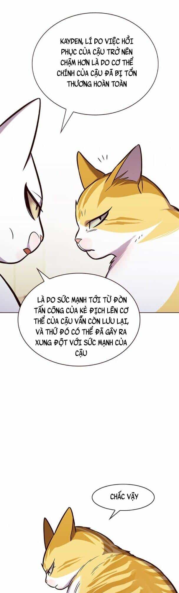 Hoá Thân Thành Mèo - Chương 180 - ảnh 14