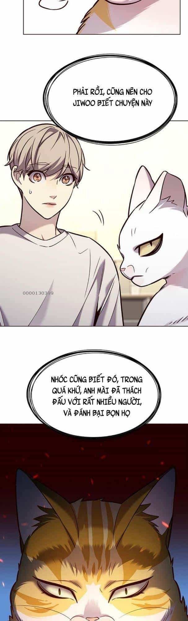 Hoá Thân Thành Mèo - Chương 180 - ảnh 20