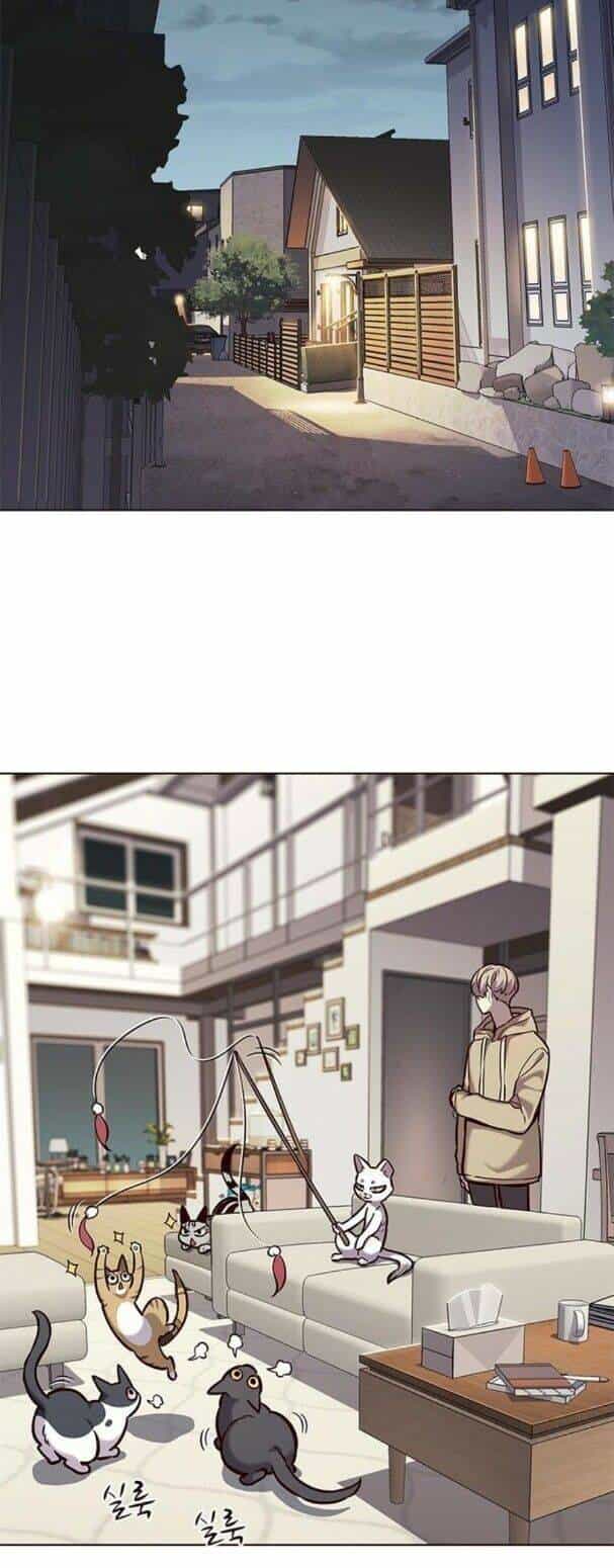 Hoá Thân Thành Mèo - Chương 182 - ảnh 14