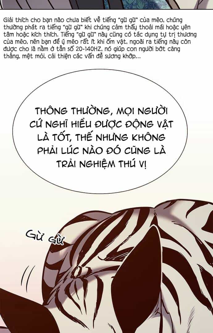 Hoá Thân Thành Mèo - Chương 188 - ảnh 88