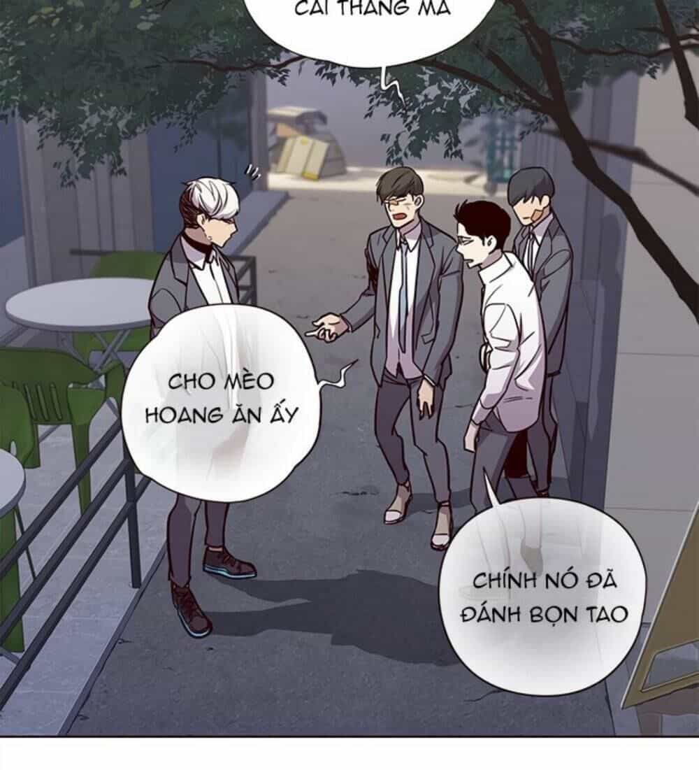 Hoá Thân Thành Mèo - Chương 19 - ảnh 14