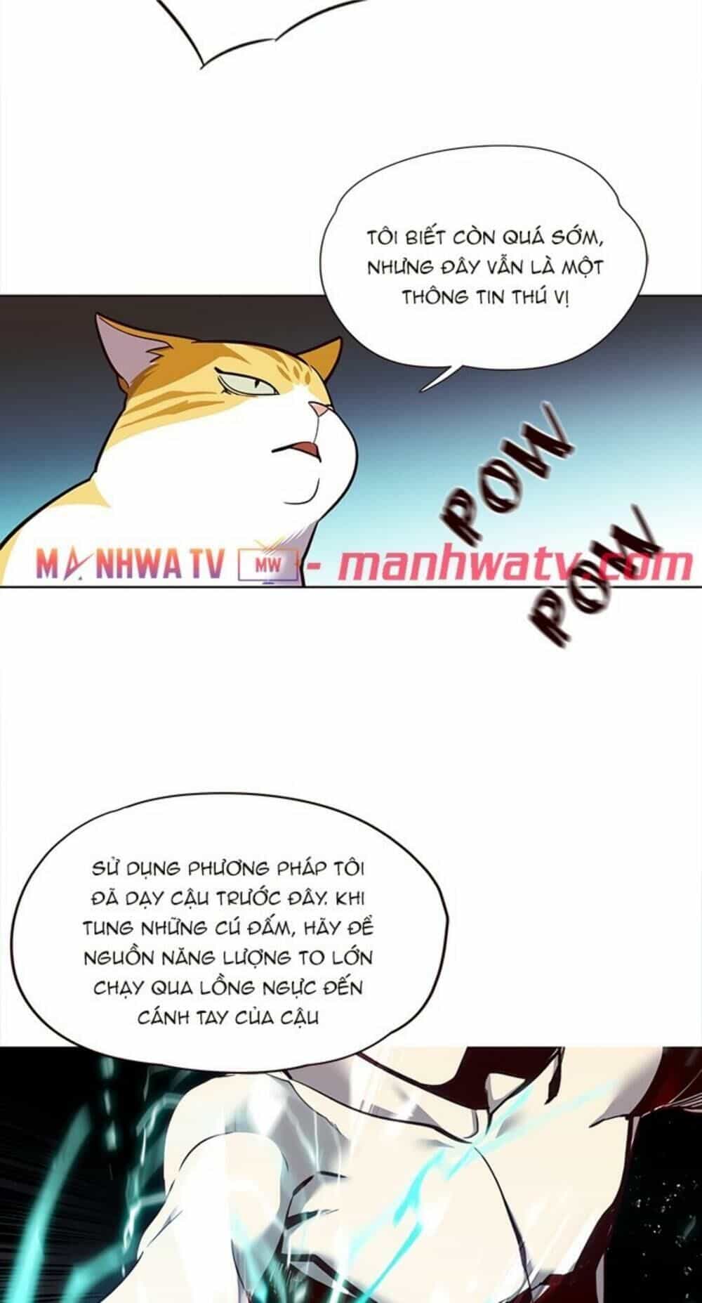 Hoá Thân Thành Mèo - Chương 19 - ảnh 53
