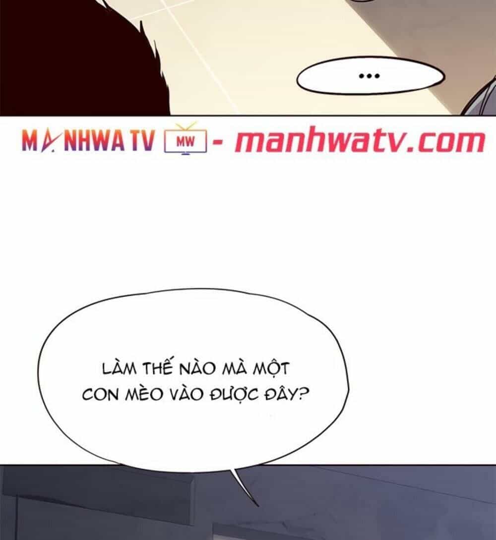 Hoá Thân Thành Mèo - Chương 19 - ảnh 99
