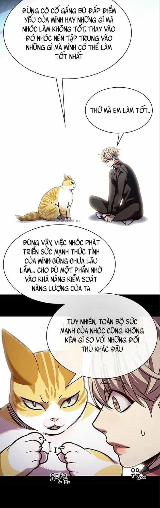 Hoá Thân Thành Mèo - Chương 198 - ảnh 66