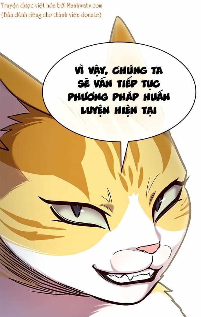 Hoá Thân Thành Mèo - Chương 199 - ảnh 61