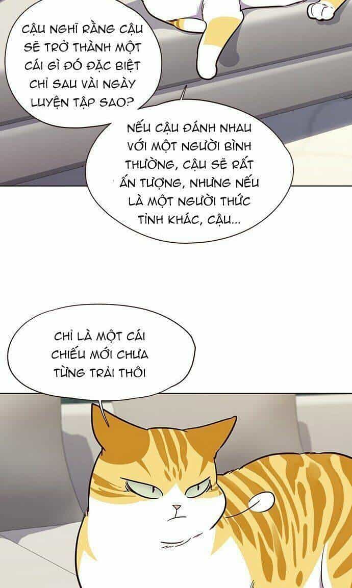 Hoá Thân Thành Mèo - Chương 21 - ảnh 32