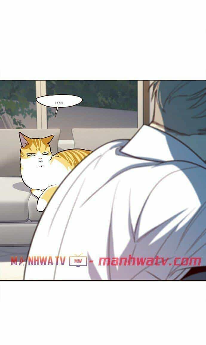 Hoá Thân Thành Mèo - Chương 21 - ảnh 38