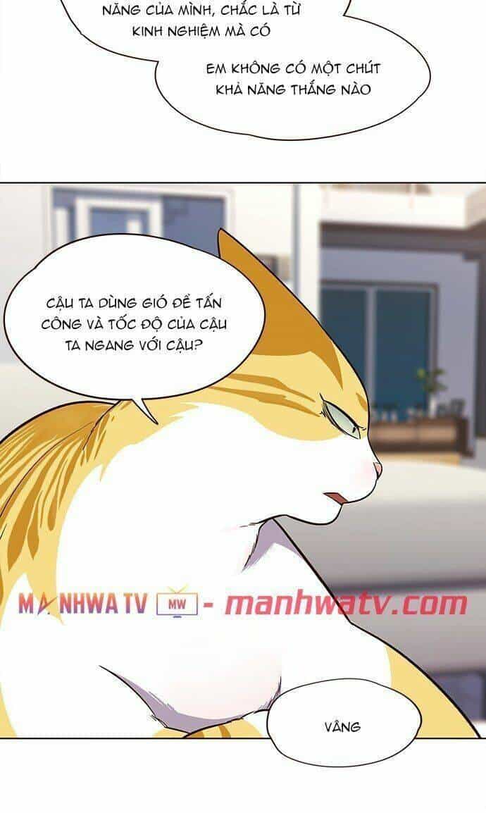 Hoá Thân Thành Mèo - Chương 21 - ảnh 41