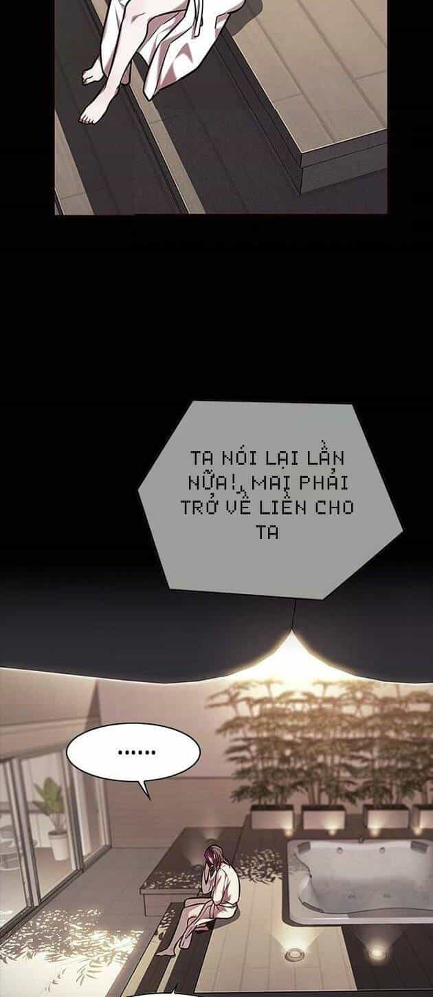 Hoá Thân Thành Mèo - Chương 219 - ảnh 22