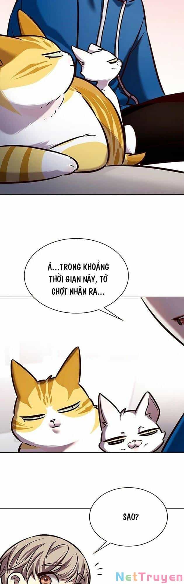 Hoá Thân Thành Mèo - Chương 229 - ảnh 34
