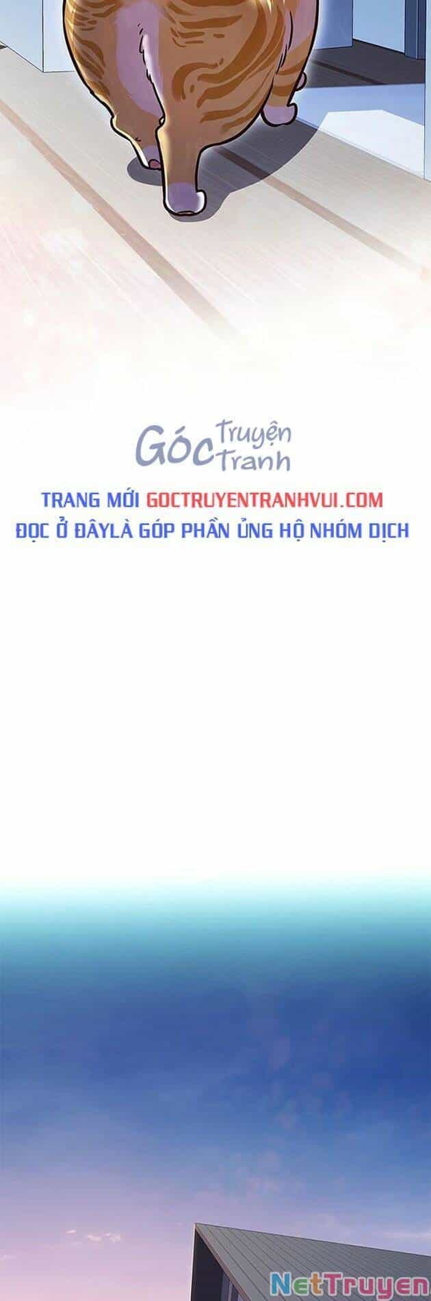 Hoá Thân Thành Mèo - Chương 229 - ảnh 52