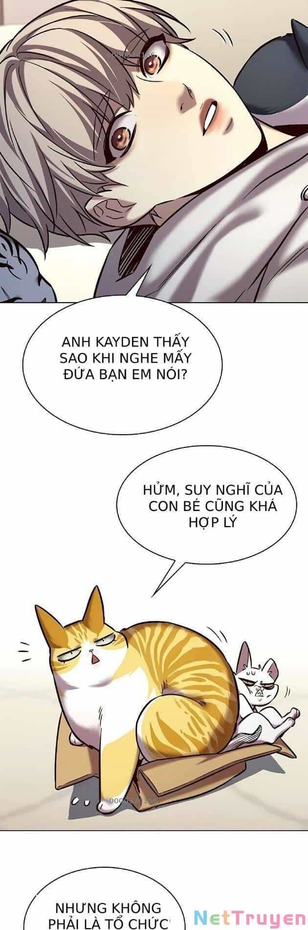 Hoá Thân Thành Mèo - Chương 239 - ảnh 31