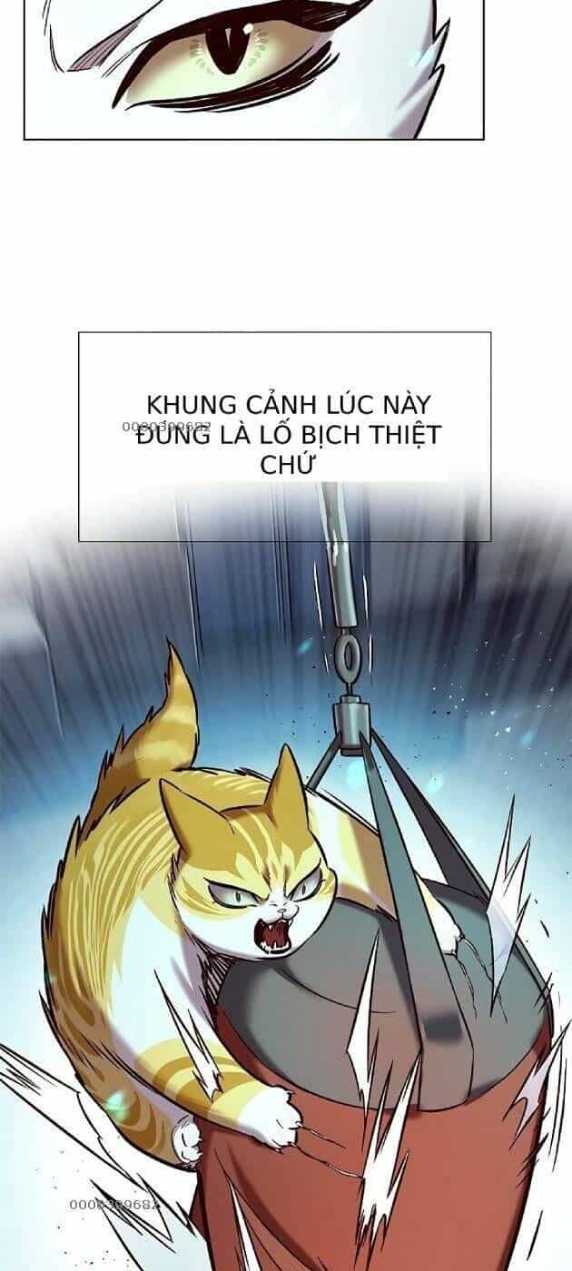 Hoá Thân Thành Mèo - Chương 241 - ảnh 15