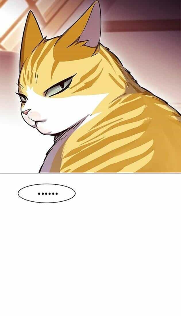 Hoá Thân Thành Mèo - Chương 242 - ảnh 49
