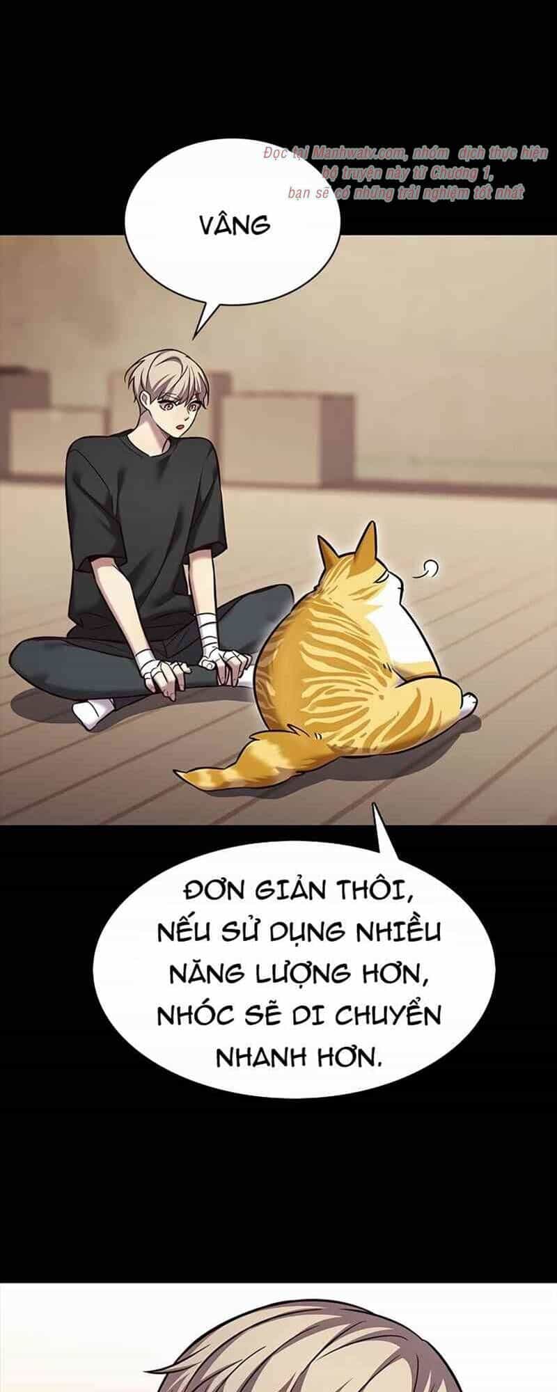 Hoá Thân Thành Mèo - Chương 244 - ảnh 15