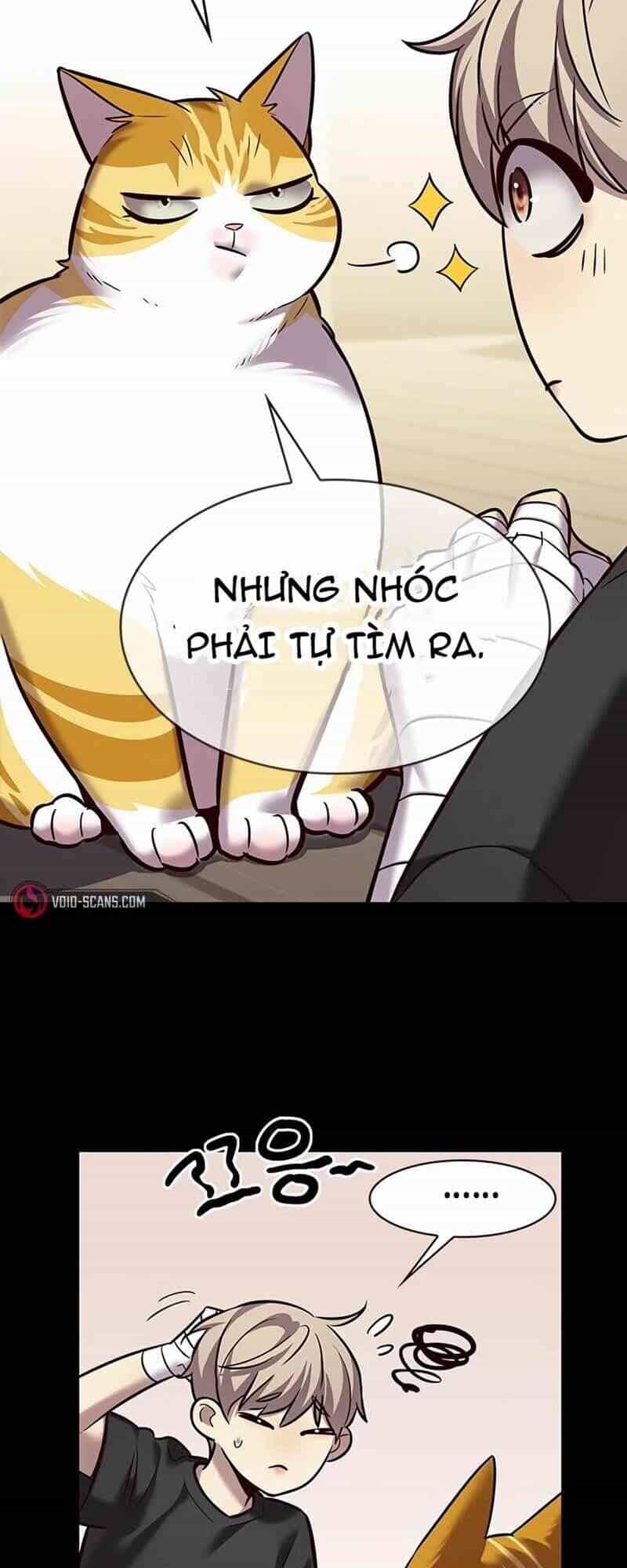 Hoá Thân Thành Mèo - Chương 244 - ảnh 18