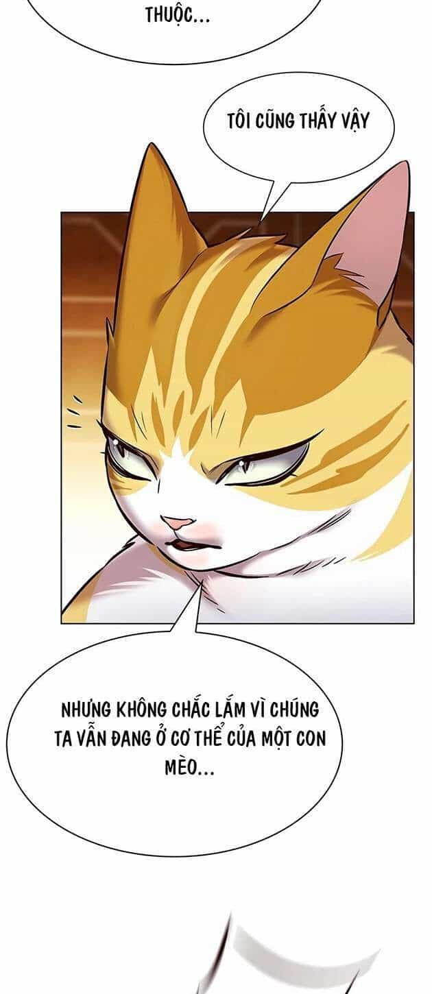 Hoá Thân Thành Mèo - Chương 245 - ảnh 46