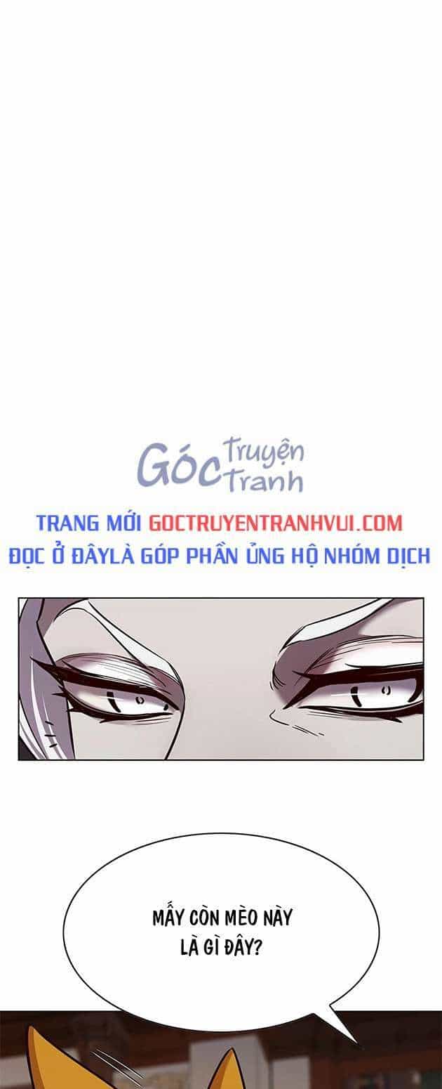 Hoá Thân Thành Mèo - Chương 246.1 - ảnh 2