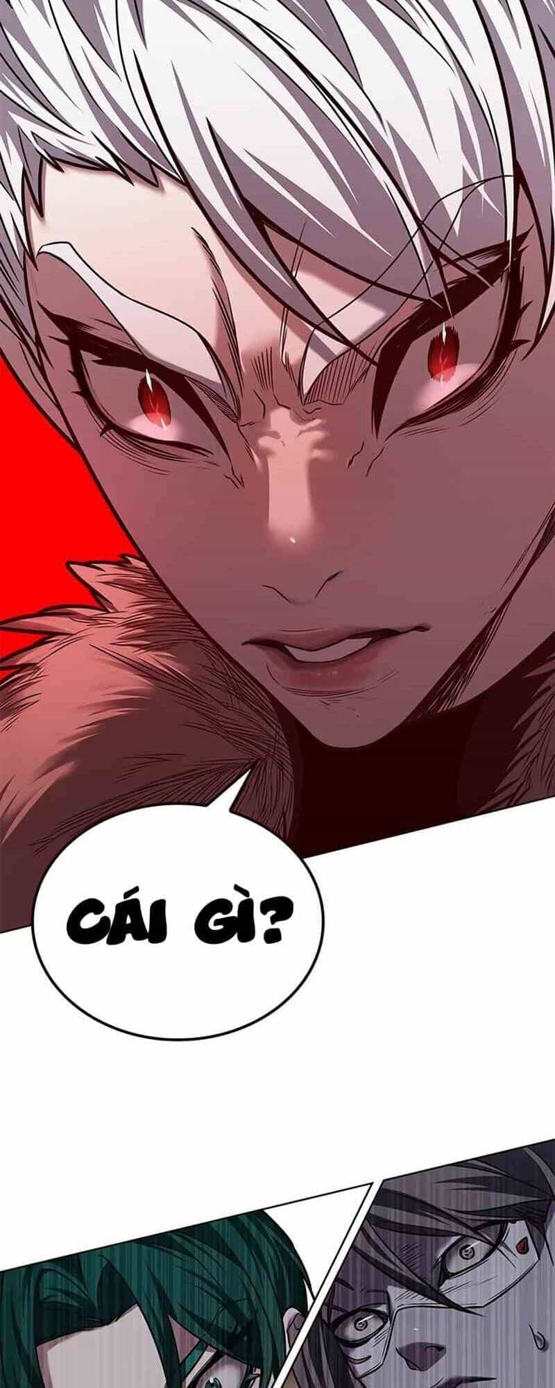 Hoá Thân Thành Mèo - Chương 249 - ảnh 23