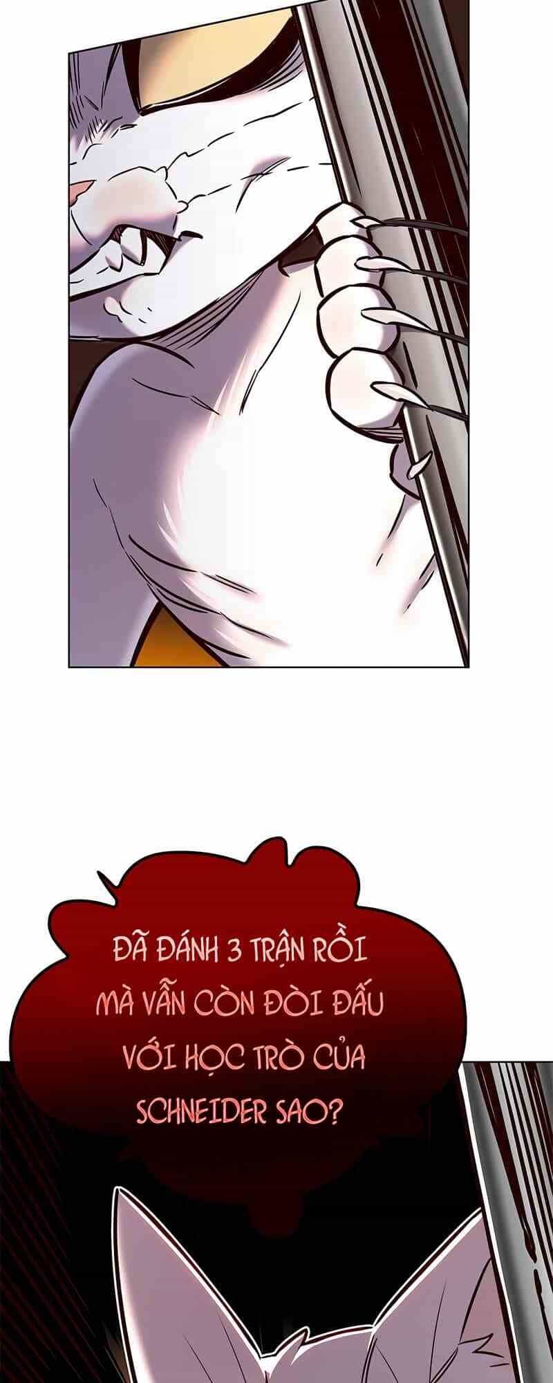 Hoá Thân Thành Mèo - Chương 249.1 - ảnh 40