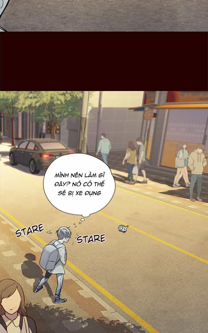 Hoá Thân Thành Mèo - Chương 27 - ảnh 8