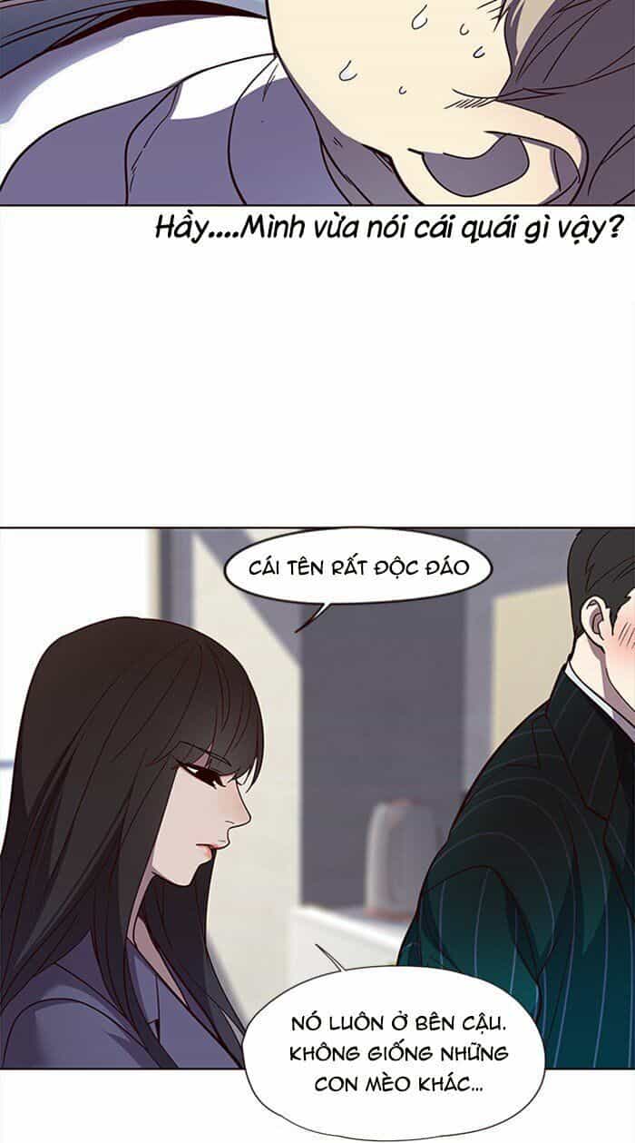 Hoá Thân Thành Mèo - Chương 28 - ảnh 54