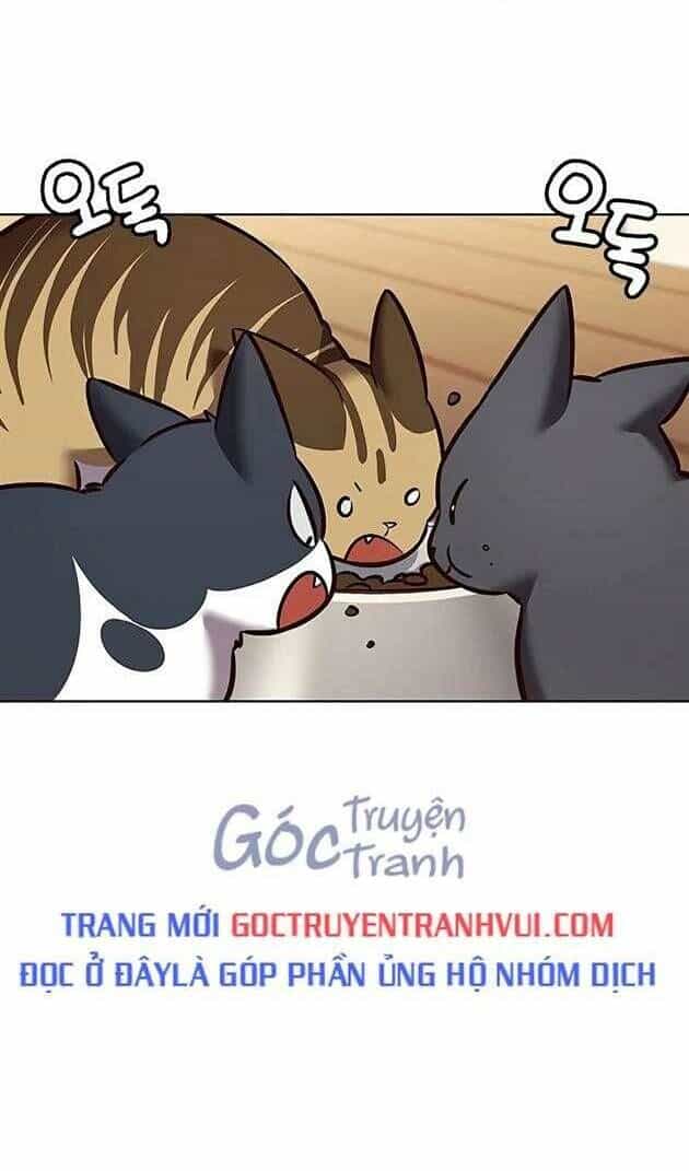 Hoá Thân Thành Mèo - Chương 269 - ảnh 41