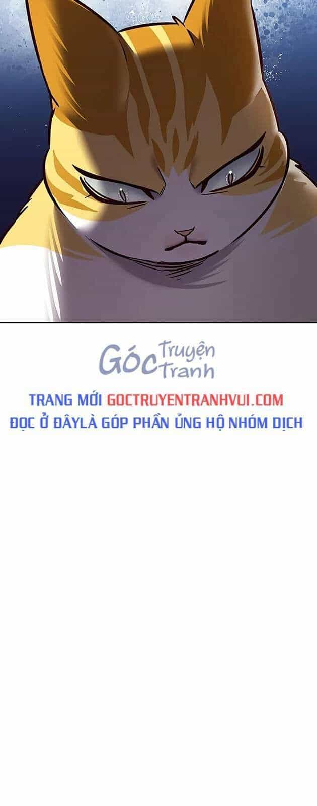 Hoá Thân Thành Mèo - Chương 270 - ảnh 23