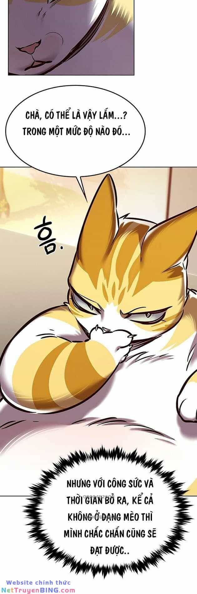 Hoá Thân Thành Mèo - Chương 278 - ảnh 61