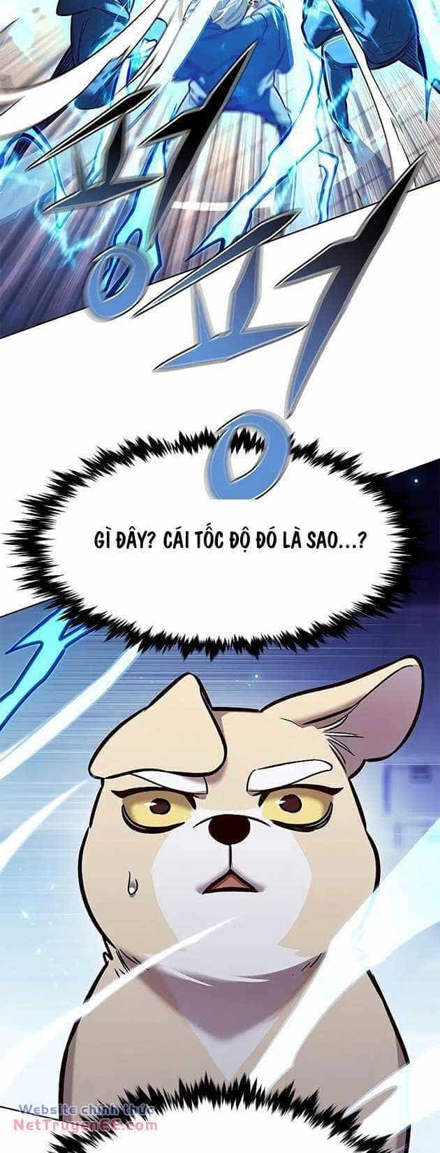 Hoá Thân Thành Mèo - Chương 281 - ảnh 36