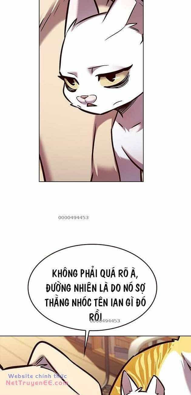 Hoá Thân Thành Mèo - Chương 282 - ảnh 6