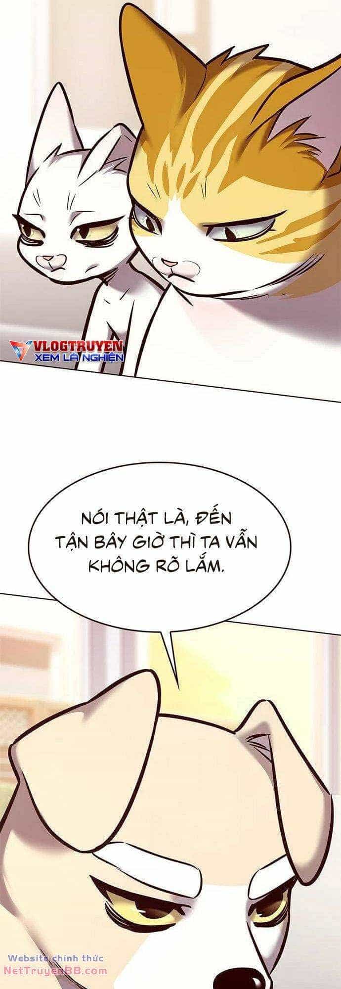 Hoá Thân Thành Mèo - Chương 285 - ảnh 27