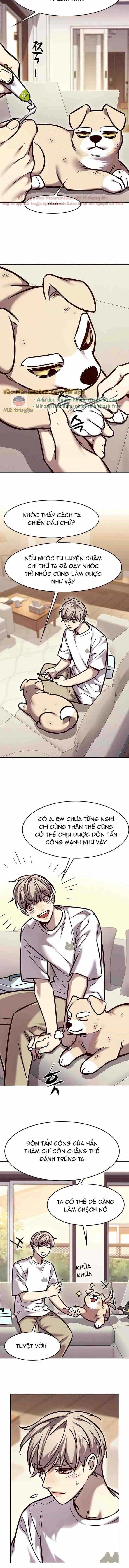 Hoá Thân Thành Mèo - Chương 294 - ảnh 9