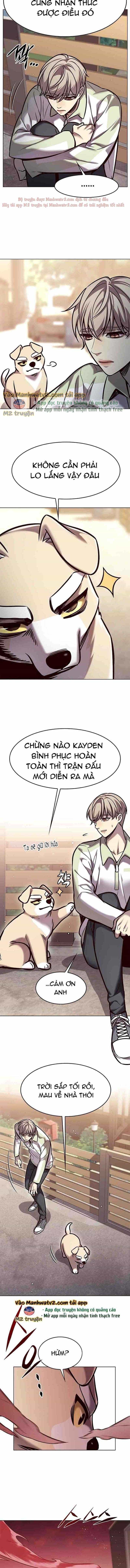 Hoá Thân Thành Mèo - Chương 295 - ảnh 10