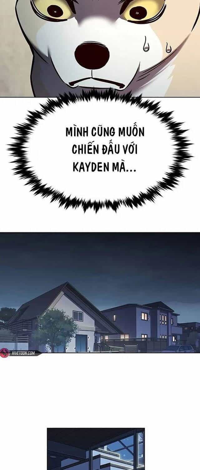 Hoá Thân Thành Mèo - Chương 309 - ảnh 61