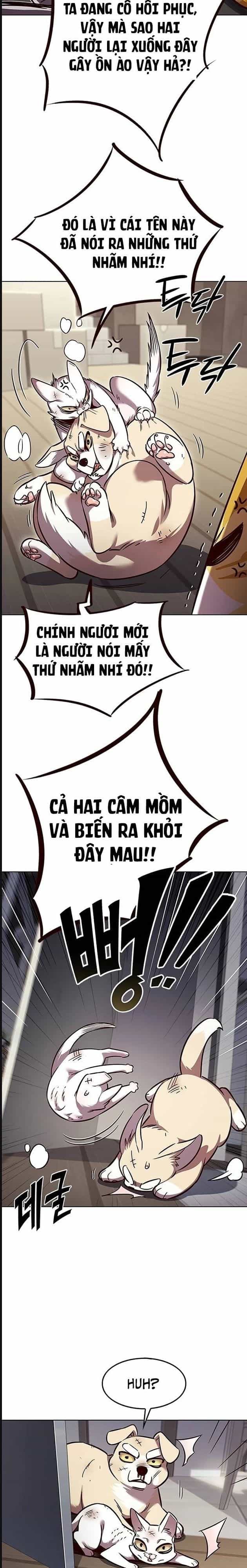 Hoá Thân Thành Mèo - Chương 322 - ảnh 19