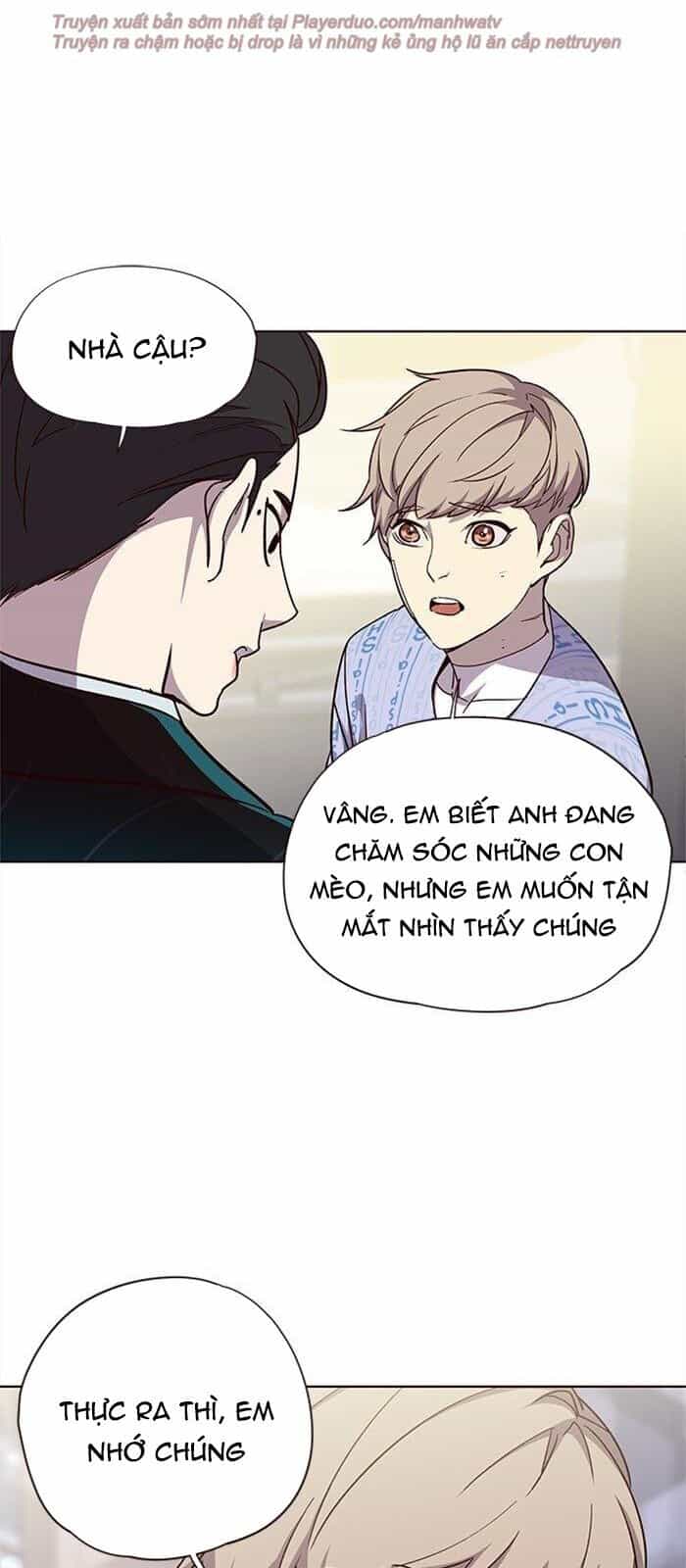 Hoá Thân Thành Mèo - Chương 34 - ảnh 74