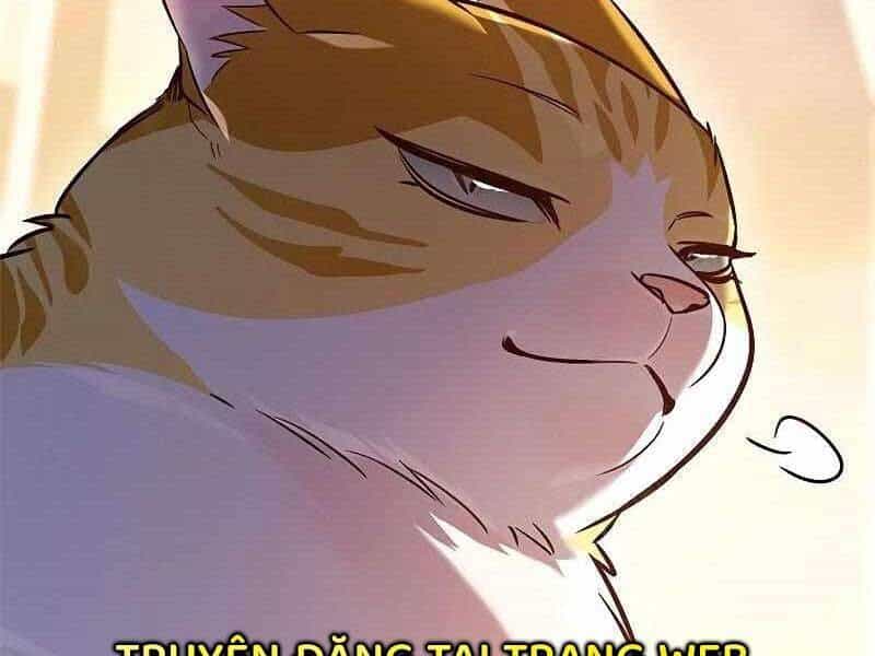 Hoá Thân Thành Mèo - Chương 325 - ảnh 136