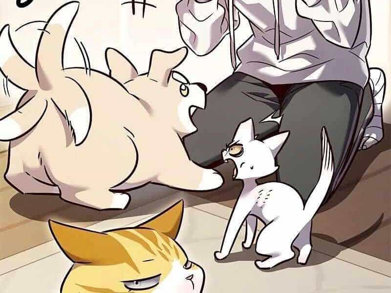 Hoá Thân Thành Mèo - Chương 325 - ảnh 199